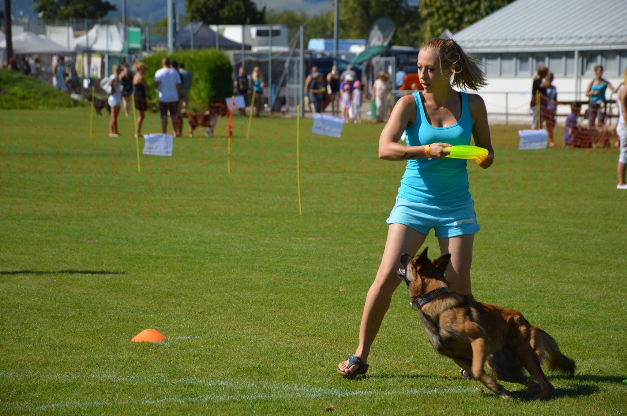 Ergebnisse und Fotos vom Dogfrisbee Fun Turnier am 1. Hundetag Korneuburg 2015